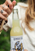 GINGEUR GINGER BEER SANS SUCRES BIO