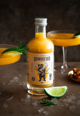 GINGEUR CONCENTRE GINGEMBRE BIO