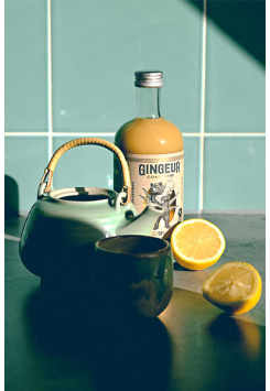 Concentré de gingembre bio et équitable - Gingeur