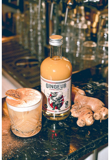 GINGEUR CONCENTRÉ GINGEMBRE EPICES BIO