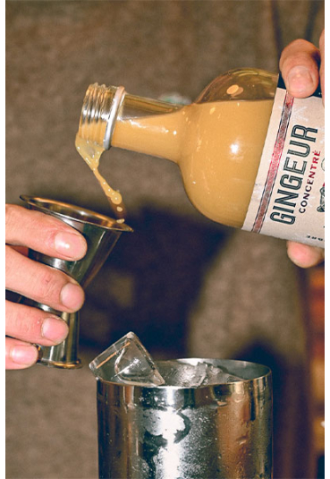 GINGEUR CONCENTRE GINGEMBRE HIVERNAL BIO