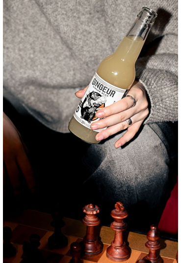 GINGEUR GINGER BEER SANS SUCRES BIO