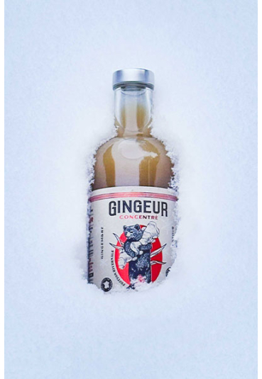 GINGEUR CONCENTRE GINGEMBRE HIVERNAL BIO