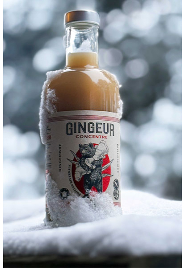 GINGEUR CONCENTRE GINGEMBRE HIVERNAL BIO