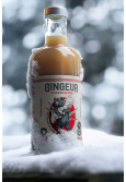 GINGEUR CONCENTRE GINGEMBRE HIVERNAL BIO