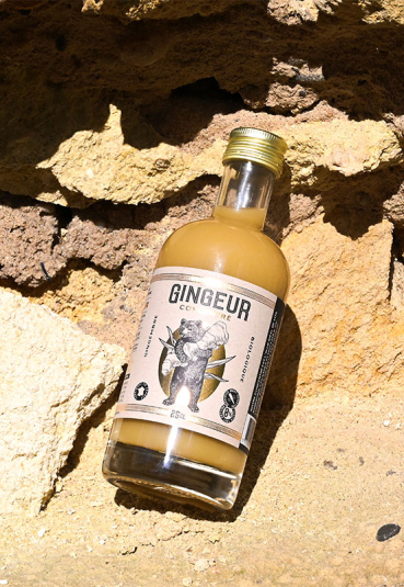 GINGEUR CONCENTRÉ GINGEMBRE BIO