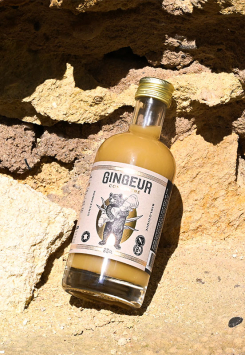 Concentré de gingembre bio et équitable - Gingeur