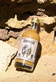 GINGEUR CONCENTRÉ GINGEMBRE BIO