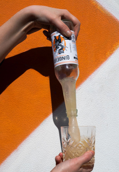 Ginger Beer Bio sans sucres - Gingeur