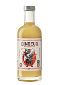 GINGEUR CONCENTRÉ GINGEMBRE HIVERNAL BIO