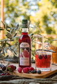 SIROP DE GRENADINE BIO ÉQUITABLE