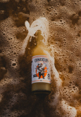 GINGEUR GINGER BEER SANS SUCRES BIO