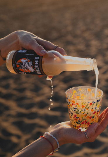 GINGEUR GINGER BEER BIO