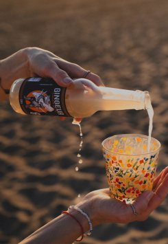 Ginger beer bio et équitable - Gingeur