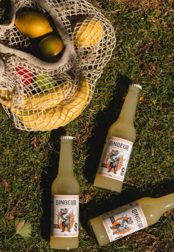 Ginger Beer Bio sans sucres - Gingeur