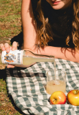 GINGEUR GINGER BEER SANS SUCRES BIO