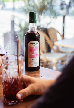 Sirop d'Hibiscus Bio | 89% d'ingrédients issus du commerce équitable