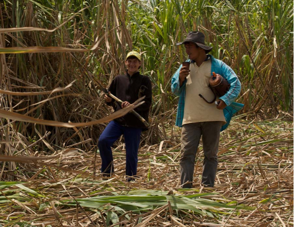 RSE : Bio +, autonomie énergétique et réemploi