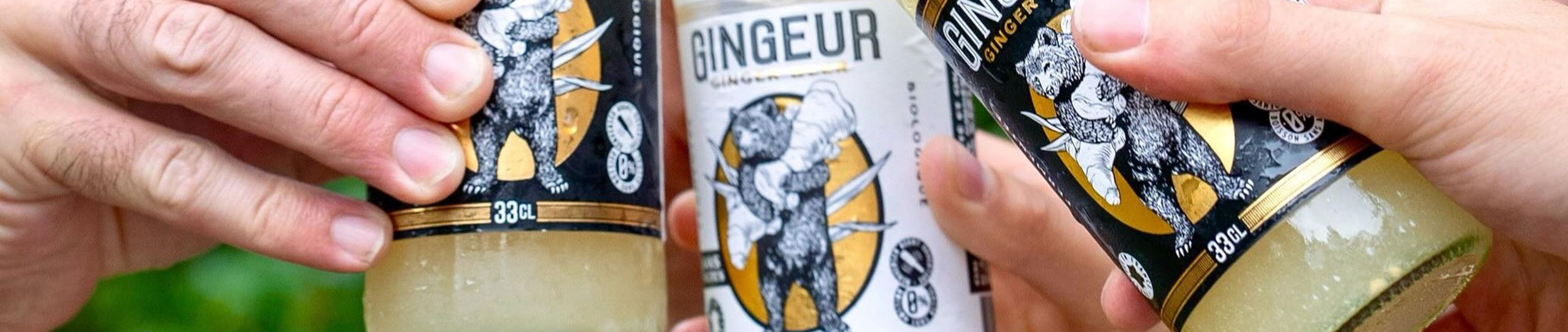 GINGEUR GINGER BEER SANS SUCRES BIO Meneau